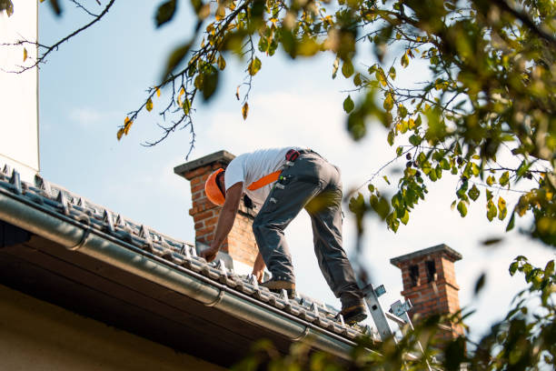 Best Flat Roof Repair Services  in Princeton Meadows, NJ